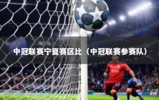 中冠联赛宁夏赛区比（中冠联赛参赛队）