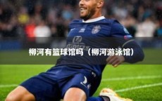 柳河有篮球馆吗（柳河游泳馆）