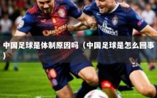 中国足球是体制原因吗（中国足球是怎么回事）