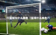 打篮球分什么颜色（篮球什么颜色?）