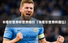 卡塔尔世界杯世界排行（卡塔尔世界杯席位）