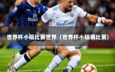世界杯小组比赛世界（世界杯小组赛比赛）