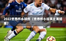 2022世界杯小球杯（世界杯小组赛比赛结果）