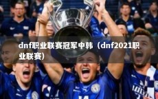 dnf职业联赛冠军中韩（dnf2021职业联赛）