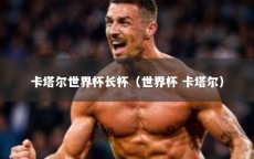 卡塔尔世界杯长杯（世界杯 卡塔尔）