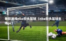 微软游戏nba街头篮球（nba街头篮球主场pc）