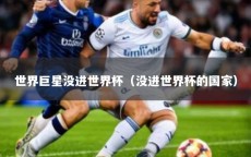 世界巨星没进世界杯（没进世界杯的国家）