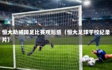 恒大助威国足比赛观后感（恒大足球学校纪录片）