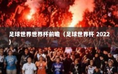 足球世界世界杯前瞻（足球世界杯 2022）