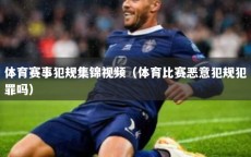体育赛事犯规集锦视频（体育比赛恶意犯规犯罪吗）