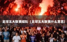 足球五大联赛组队（足球五大联赛什么意思）