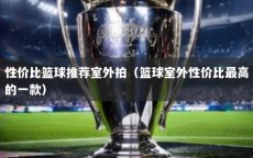 性价比篮球推荐室外拍（篮球室外性价比最高的一款）