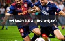 街头篮球预览花式（街头篮球jam）