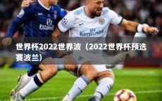 世界杯2022世界波（2022世界杯预选赛波兰）