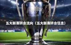 五大联赛转会流向（五大联赛转会信息）