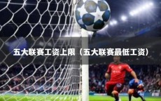 五大联赛工资上限（五大联赛最低工资）