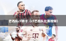 巴西队cf胖子（cf巴西队比赛视频）