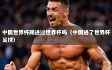 中国世界杯踢进过世界杯吗（中国进了世界杯足球）