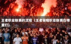 王者职业联赛的流程（王者荣耀职业联赛在哪里打）