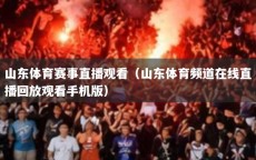 山东体育赛事直播观看（山东体育频道在线直播回放观看手机版）
