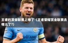 王者的赏金联赛上哪了（王者荣耀赏金联赛去哪儿了?）