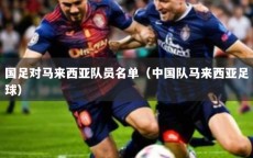 国足对马来西亚队员名单（中国队马来西亚足球）