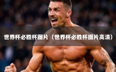 世界杯必胜杯图片（世界杯必胜杯图片高清）
