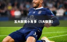 五大联赛小角多（5大联赛）