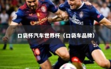 口袋杯汽车世界杯（口袋车品牌）