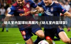 幼儿室内篮球玩具图片（幼儿室内篮球架）