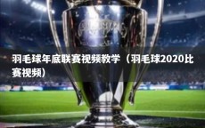 羽毛球年底联赛视频教学（羽毛球2020比赛视频）