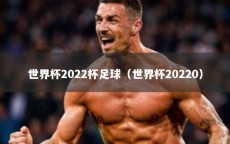 世界杯2022杯足球（世界杯20220）