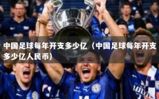 中国足球每年开支多少亿（中国足球每年开支多少亿人民币）